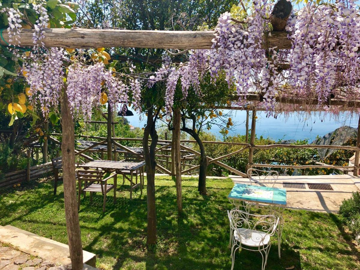 Bed and Breakfast Casa Flora Виетри Экстерьер фото