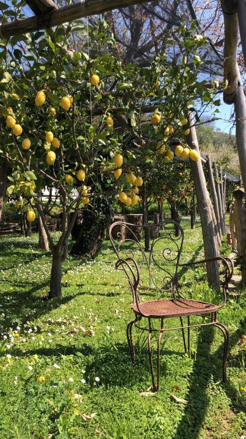 Bed and Breakfast Casa Flora Виетри Экстерьер фото