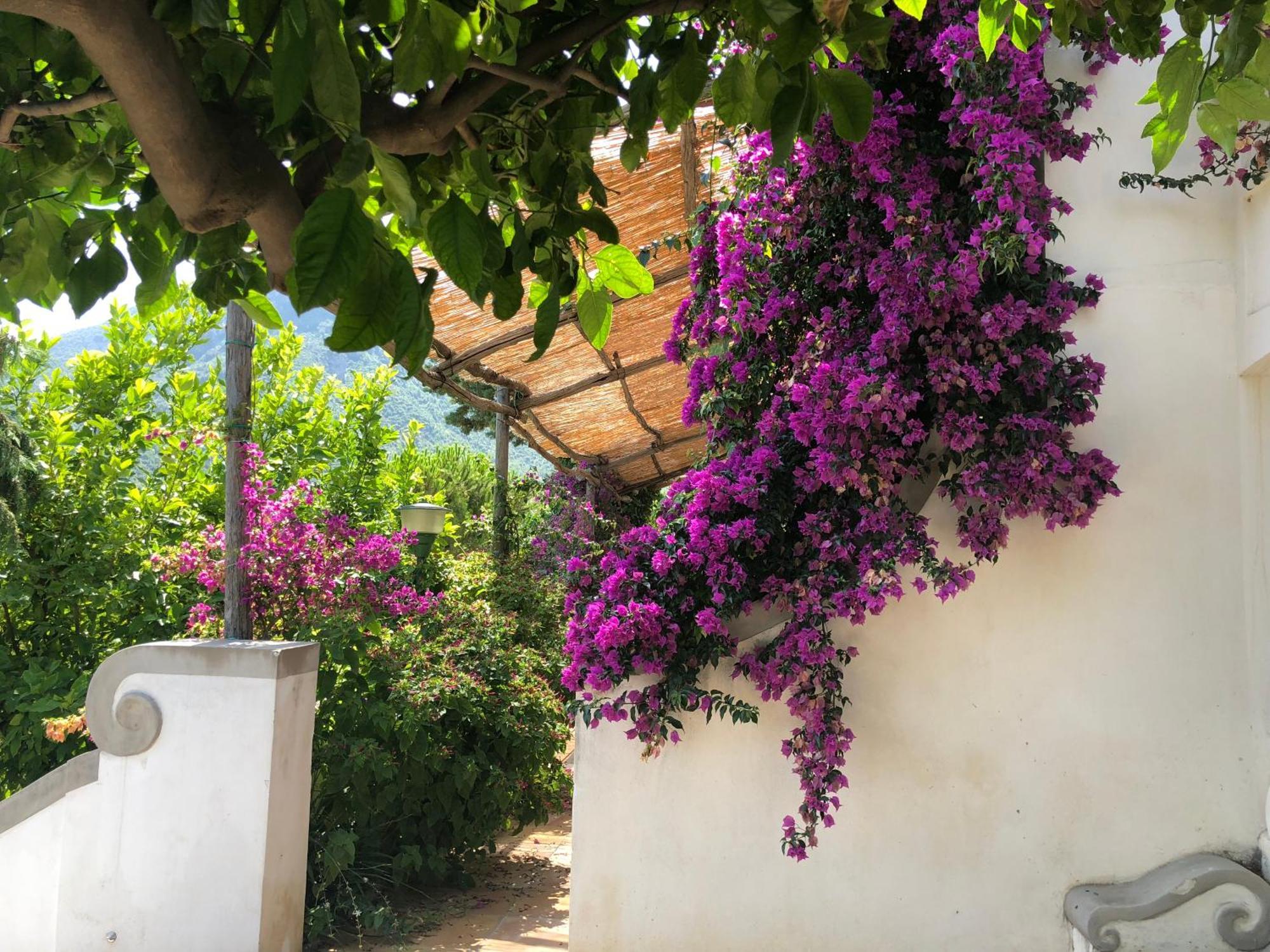 Bed and Breakfast Casa Flora Виетри Экстерьер фото